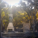 Peter Strauss Ranch after the Woolsey Fire